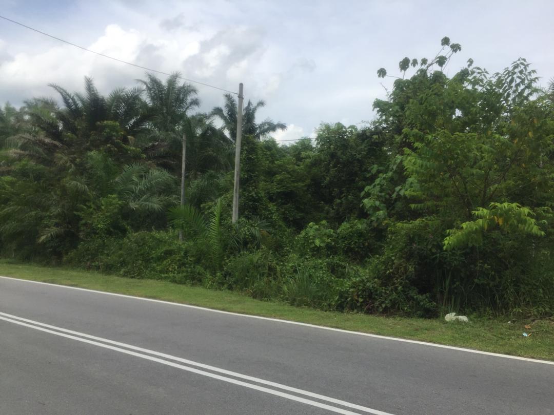 Tanah Tepi Jalan Peradong Jelebu - photo 8