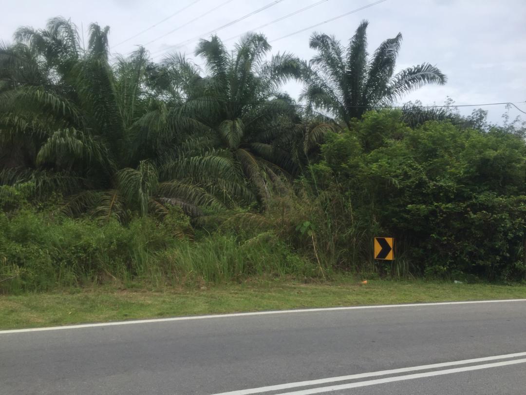 Tanah Tepi Jalan Peradong Jelebu - photo 9