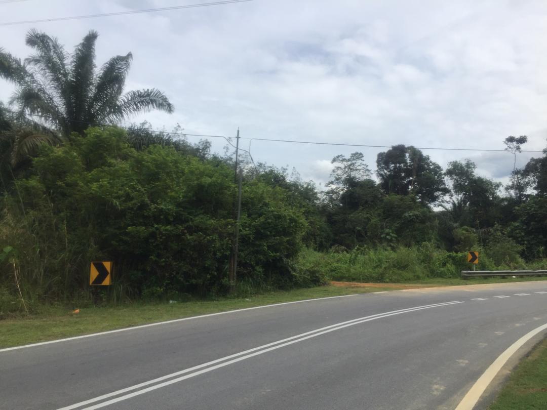Tanah Tepi Jalan Peradong Jelebu - photo 10
