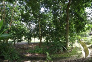 Bungalow Lot Bangi Golf Resort - photo 5