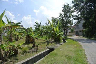 Bungalow Lot Mutiara Bangi - photo 2