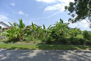 Bungalow Lot Mutiara Bangi - photo 3