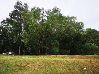 Bungalow Land Presint 8 Putrajaya - photo 6