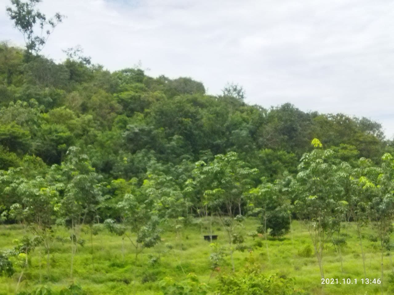 Tanah Kelemak Dalam Alor Gajah Melaka