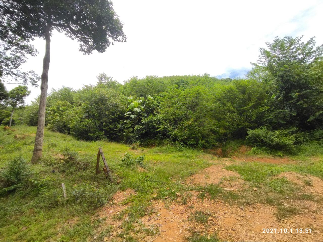 Tanah Kelemak Dalam Alor Gajah Melaka - photo 3