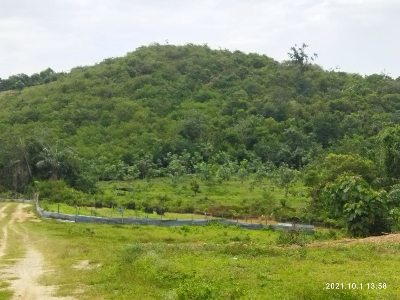 Tanah Kelemak Dalam Alor Gajah Melaka - photo 4