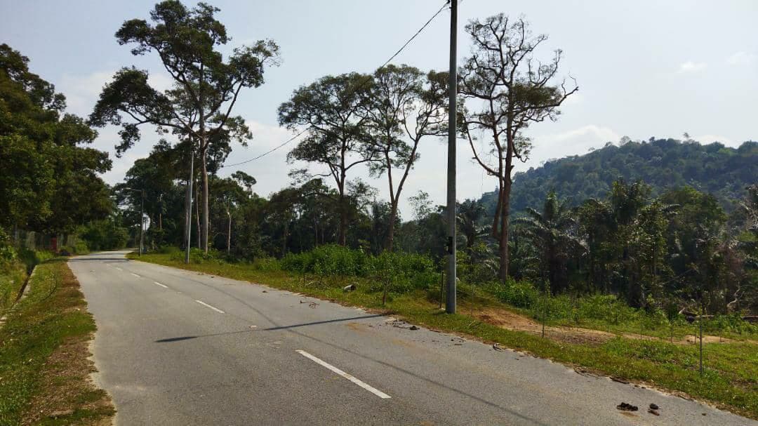 Dusun Durian Tepi Jalan Keru Hilir Tampin