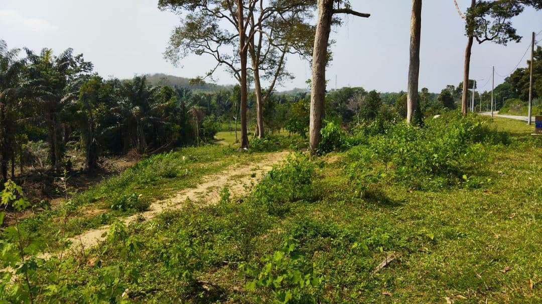Dusun Durian Tepi Jalan Keru Hilir Tampin - photo 3