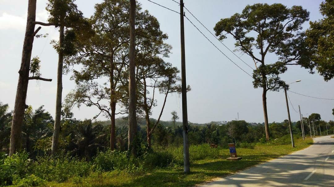 Dusun Durian Tepi Jalan Keru Hilir Tampin - photo 4