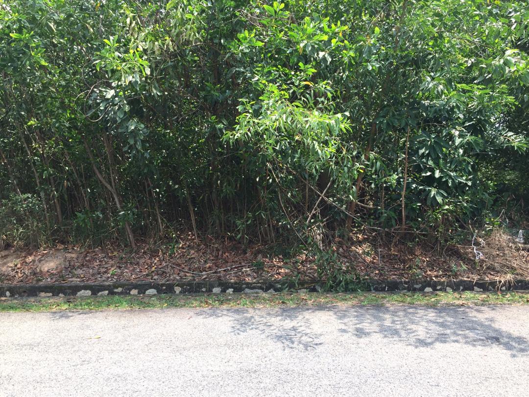 2 LOT BERSEBELAHAN MAHKOTA HILL LENGGENG BELAKANG - photo 5