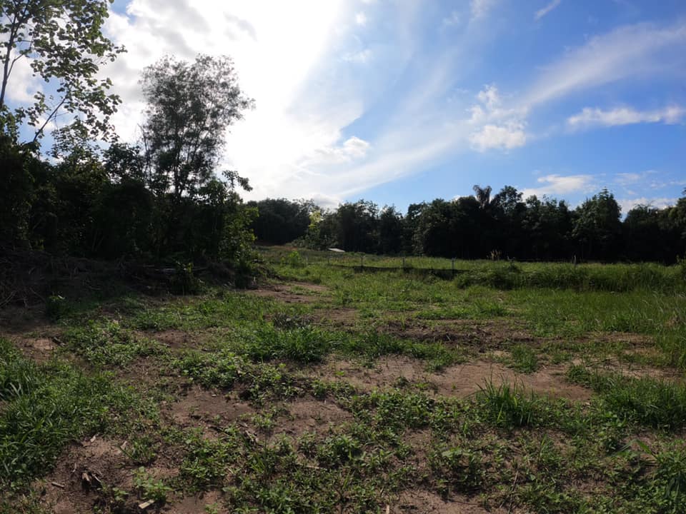 Tanah 10000sqft Kampung Sungai Kembong Hilir Bangi - photo 6