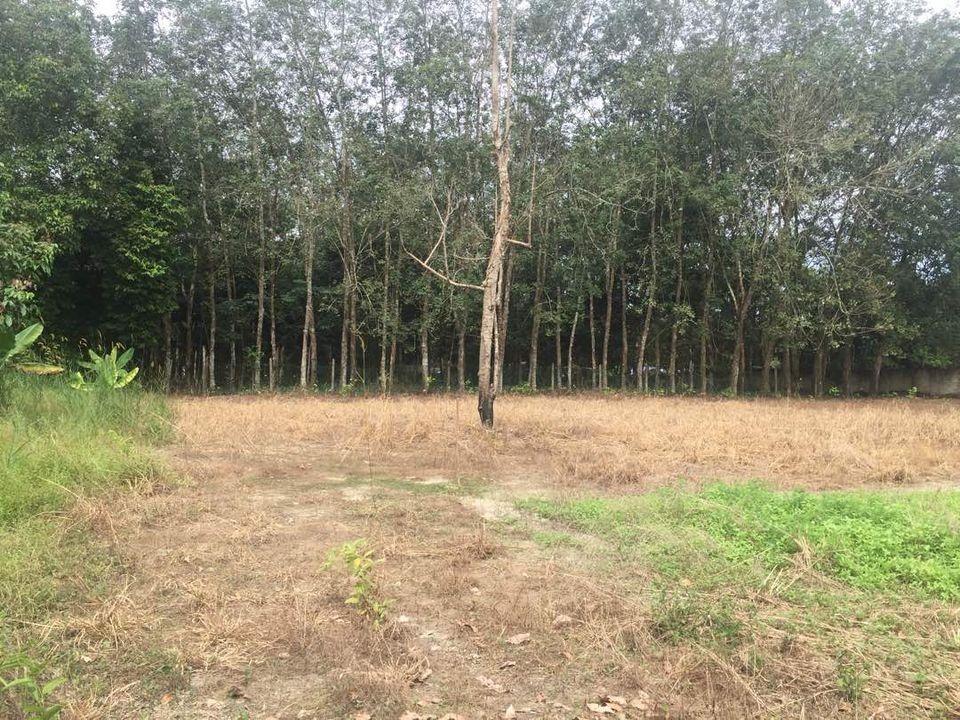 Tanah Kampung Sungai Jai Beranang Selang - photo 1