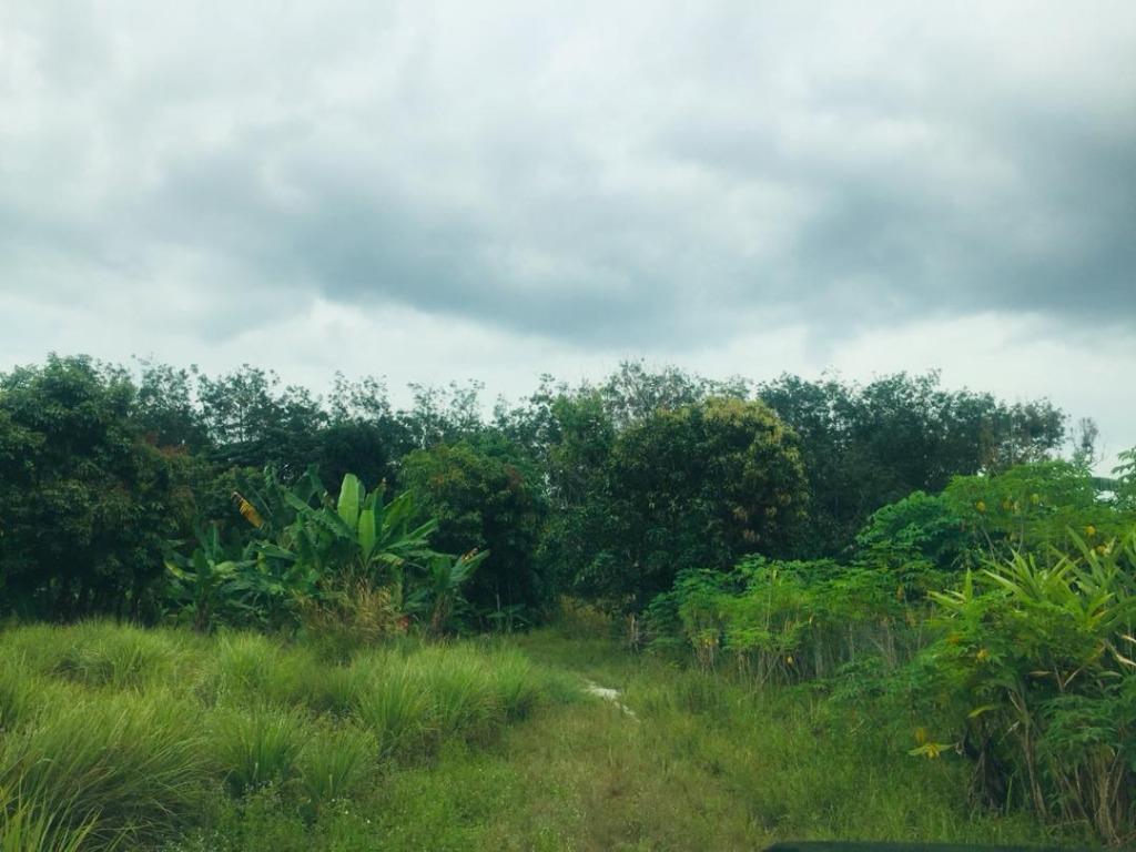 Tanah Kampung Sungai Jai Beranang Selang - photo 2