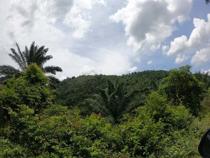 Tanah 23 Ekar dekat Bukit Sikai Seri Menanti Pilah