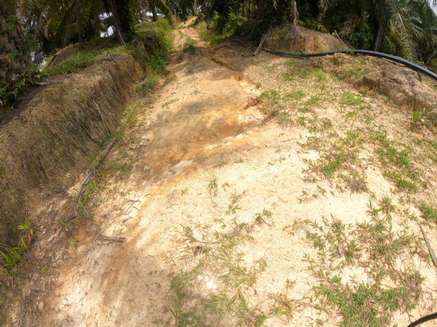Tanah 23 Ekar dekat Bukit Sikai Seri Menanti Pilah - photo 3