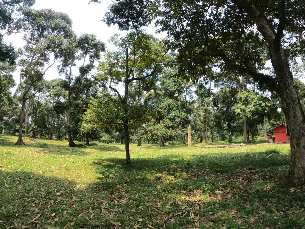 Tanah Tepi Jalan Chinchang Labu Salak Tinggi - photo 2
