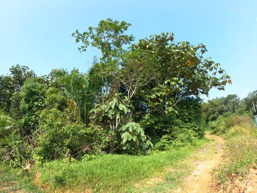 Tanah 2 ekar Kuala Pajam Beranang