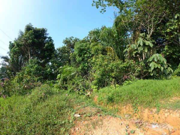 Tanah 2 ekar Kuala Pajam Beranang - photo 2