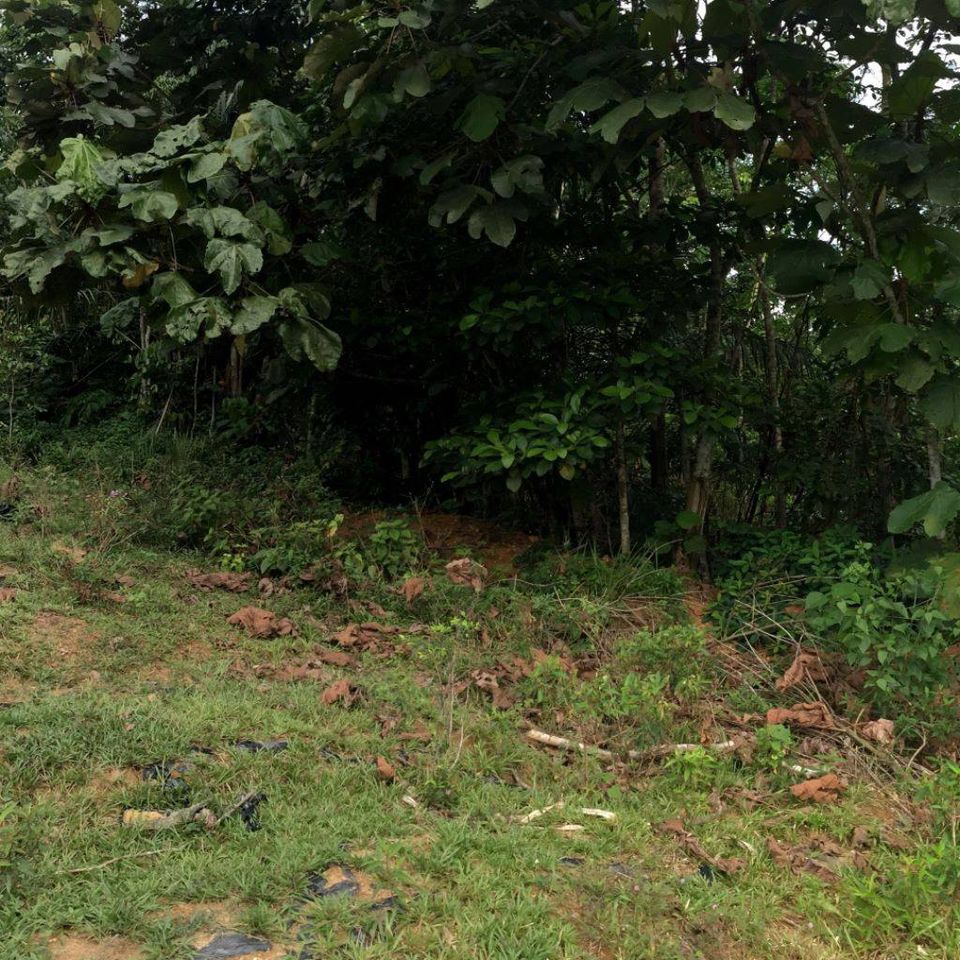 Tanah 2 ekar Kuala Pajam Beranang - photo 6