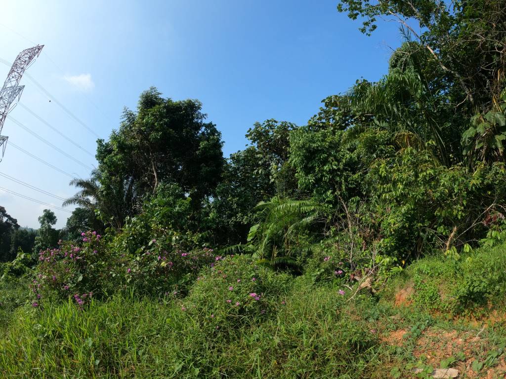 Tanah Kuala Pajam Beranang bersebelahan