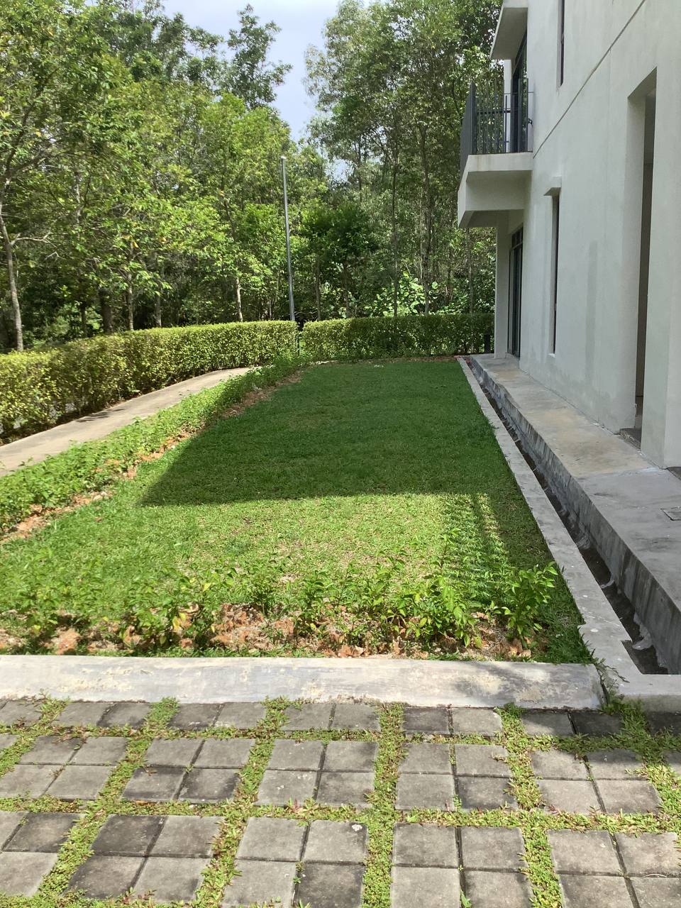 Corner Lot Crescent Park  Townvilla 3 Storey wit - photo 3