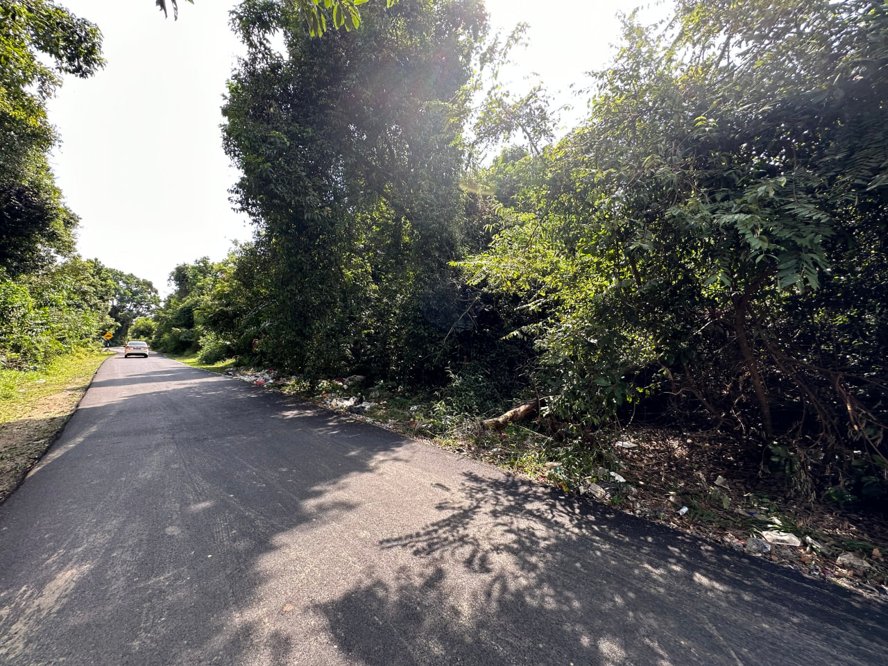 Tanah Lot Banglo Telok Kemang 7000sft Atas Bukit P - photo 2