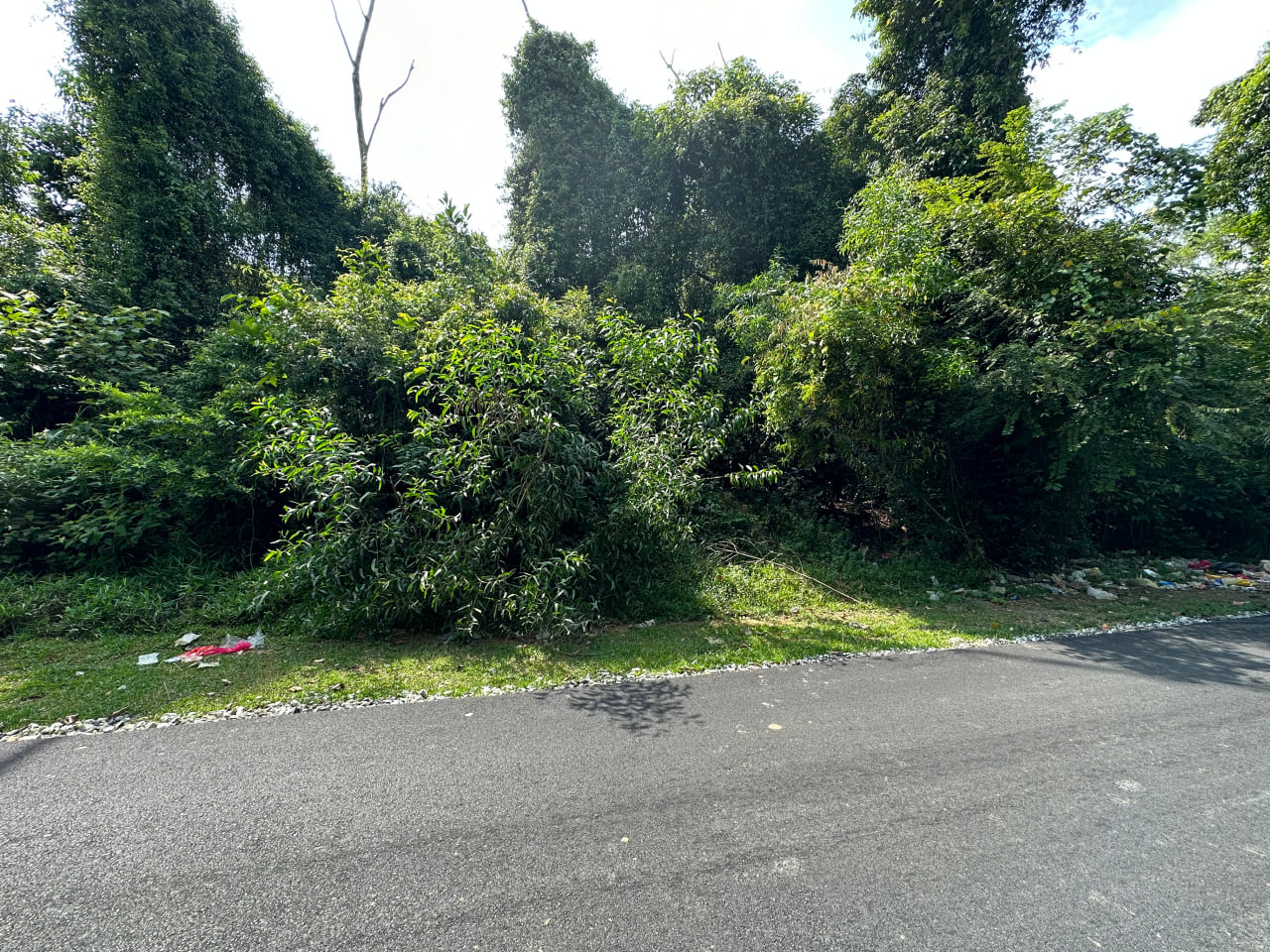 Tanah Lot Banglo Telok Kemang 7000sft Atas Bukit P - photo 4