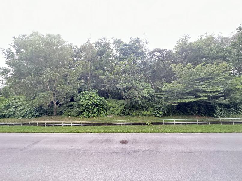 Tanah Tepi Jalan Status Bangunan Commercial