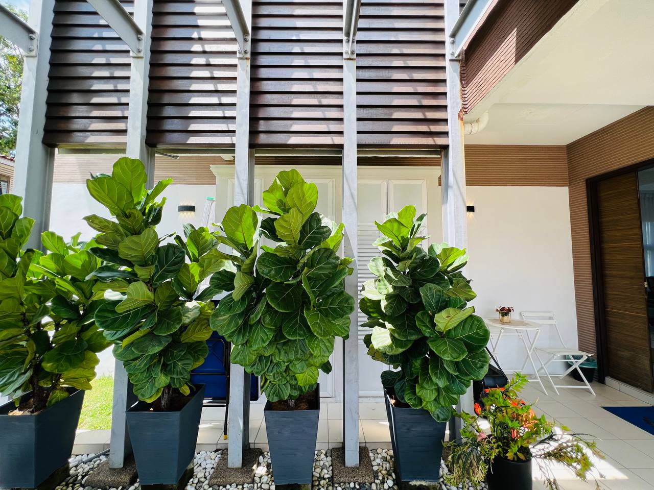 DOUBLE STOREY BANYAN CLOSE  MAHKOTA BANGI DAHLEA - photo 6