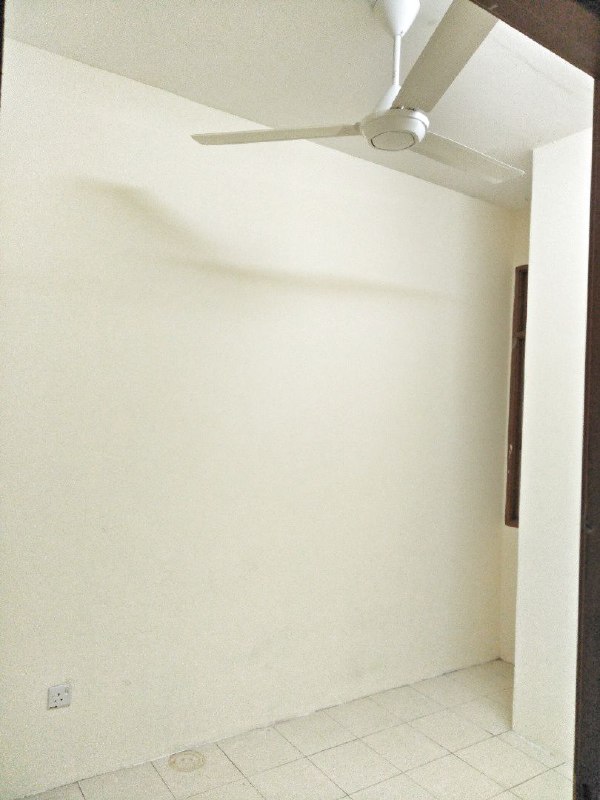 Taman Bunga Raya, Sepang - photo 4