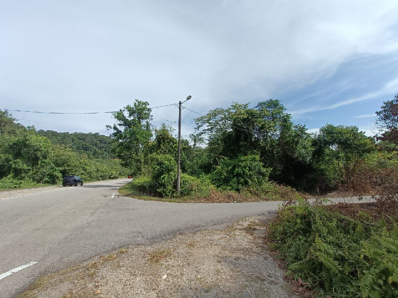 Tanah Pertanian Tepi Jalan Di Cherating - photo 5