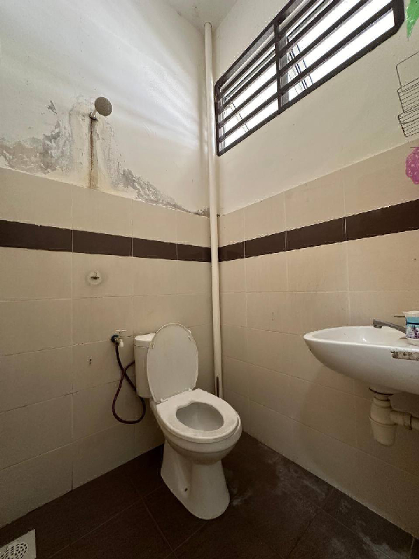 TERES SETINGKAT TAMAN KETAPANG 1, PEKAN PAHANG - photo 11