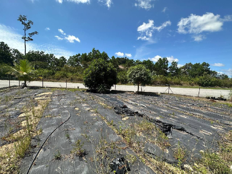 [CORNER LOT TANAH LUAS] TERES SETINGKAT CORNER LOT BUKIT RANGIN DAMAI - photo 5