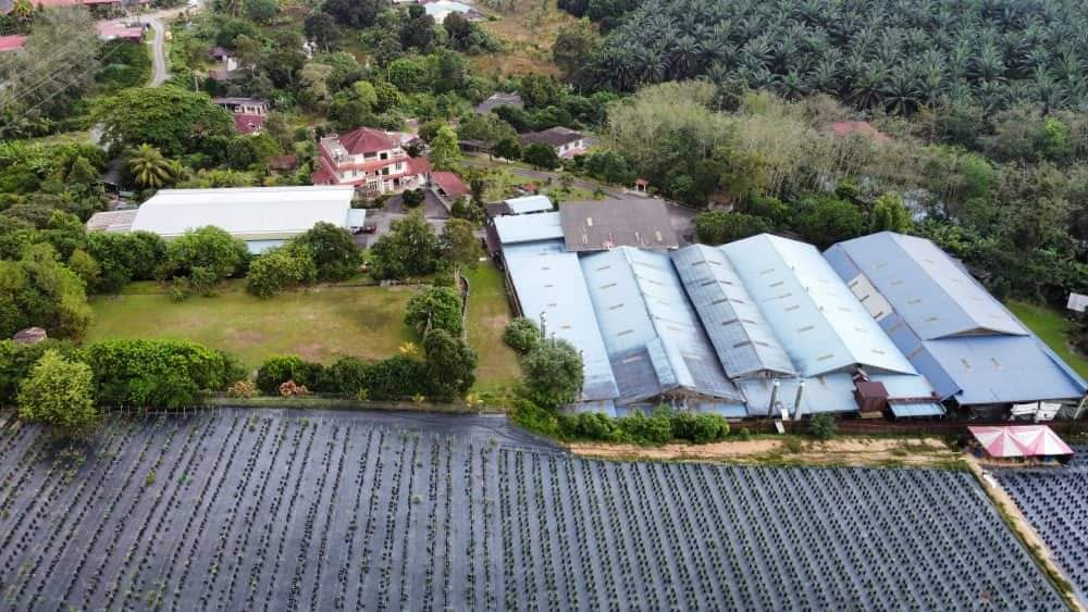Industrial Land near Seremban - photo 3