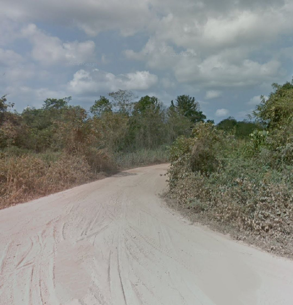 Tanah Industry Untuk Dijual - Nyalas, Gemenceh Negeri Sembilan  - photo 3