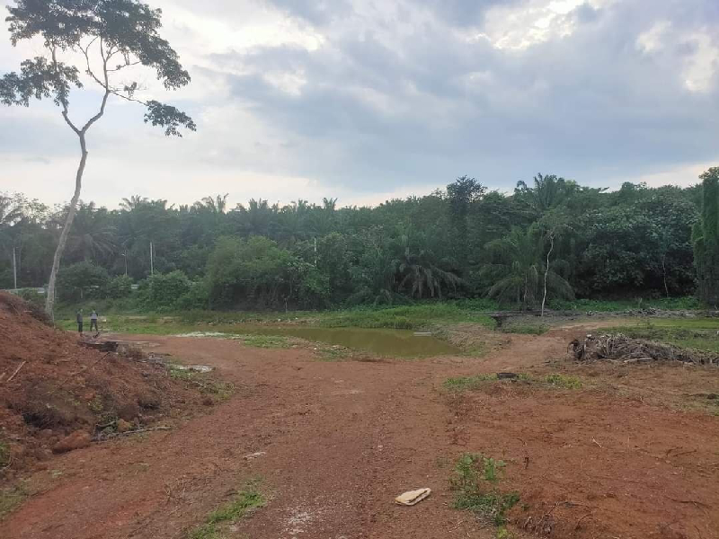 Premium Agricultural Land for Sale or Rent in Pedas, Rembau Negeri Sembilan  - photo 3