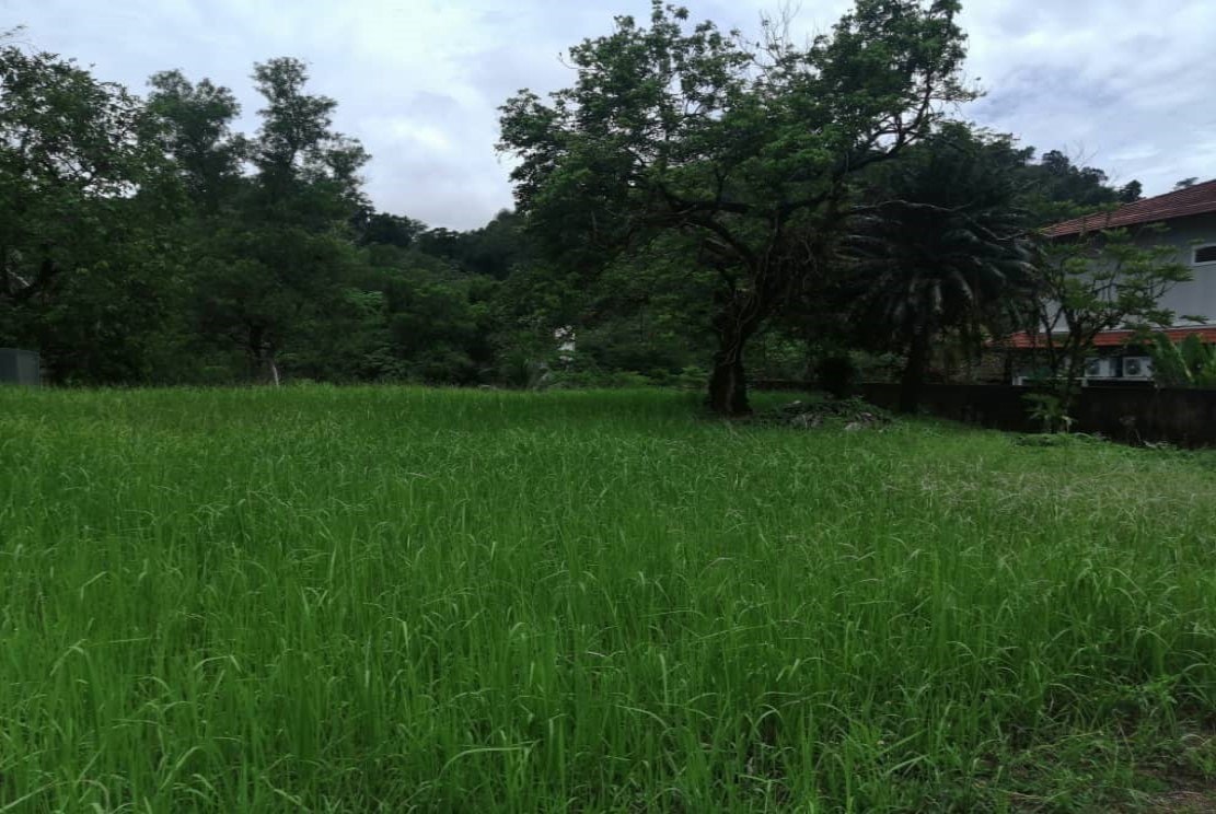 FREEHOLD Land Lot Bungalow Kemensah Heights Ampang - photo 4
