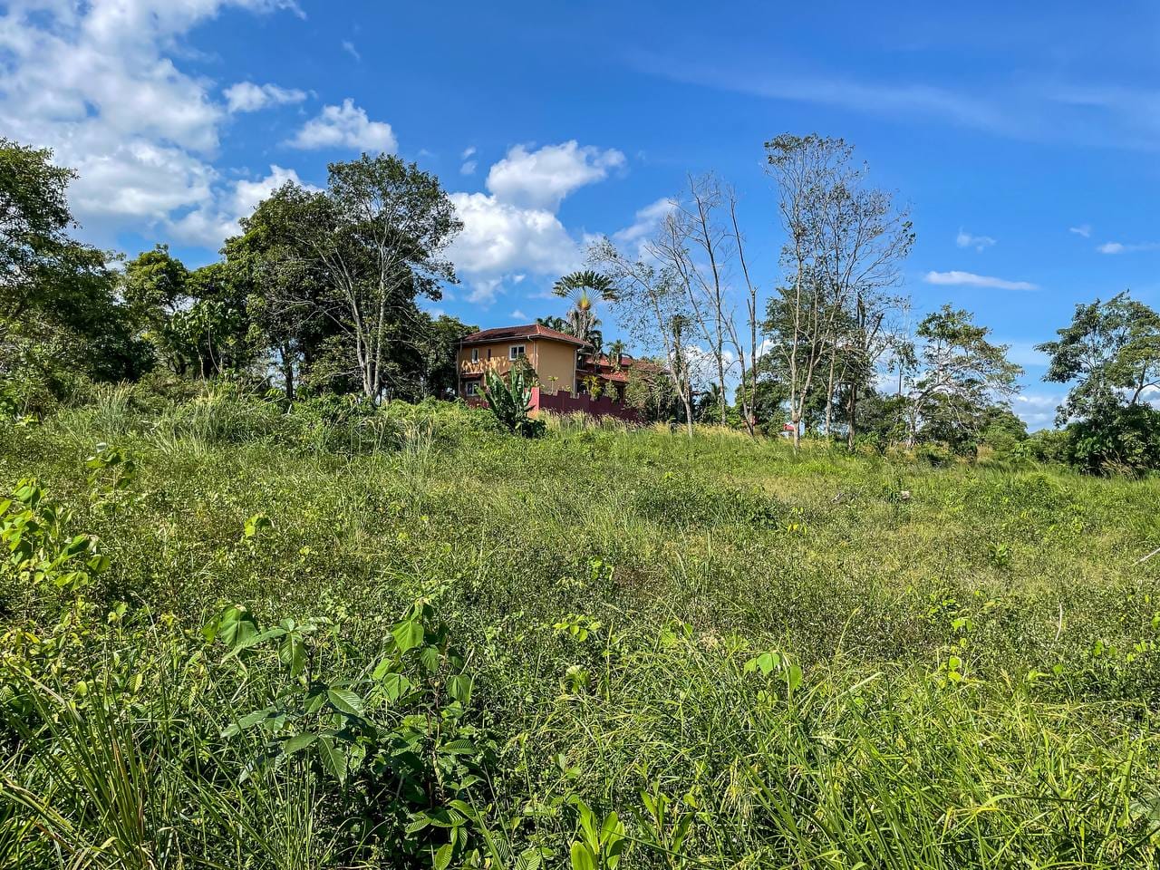 BUNGALOW LOT COLLEGE HEIGHTS GARDEN RESORT - photo 4
