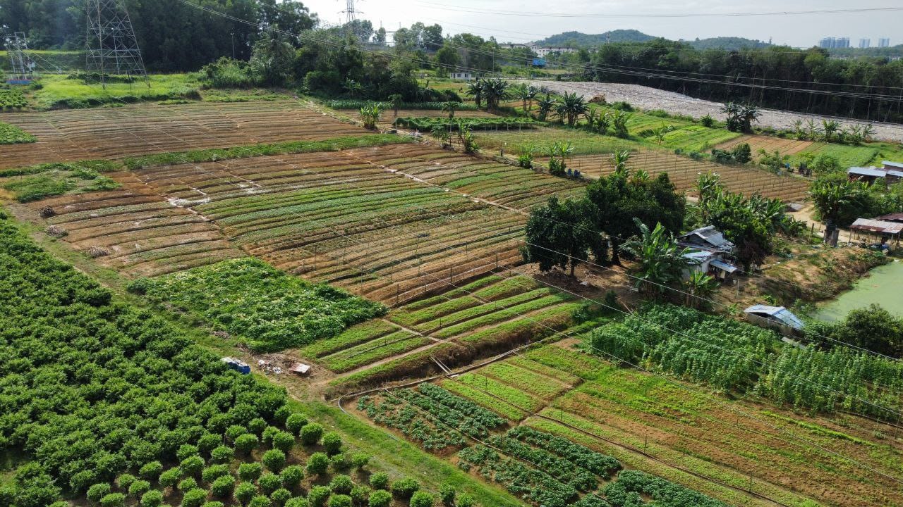 AGRICULTURE LAND PULAU MERANTI PUCHONG