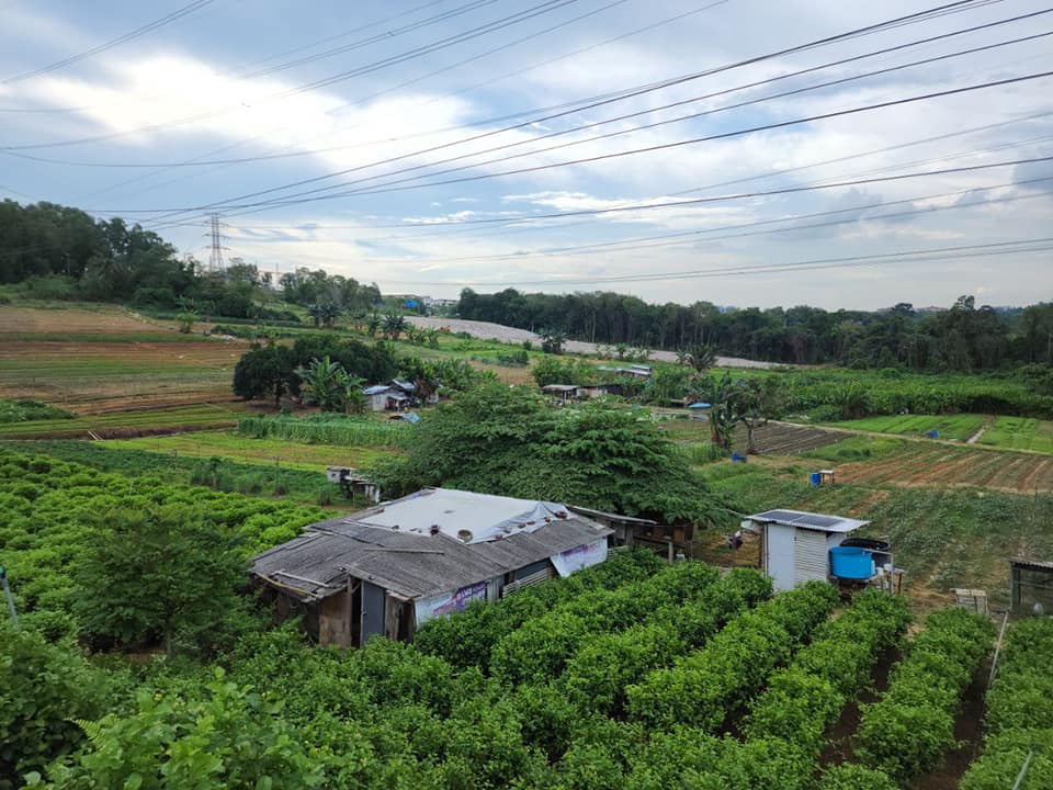 AGRICULTURE LAND PULAU MERANTI PUCHONG - photo 6