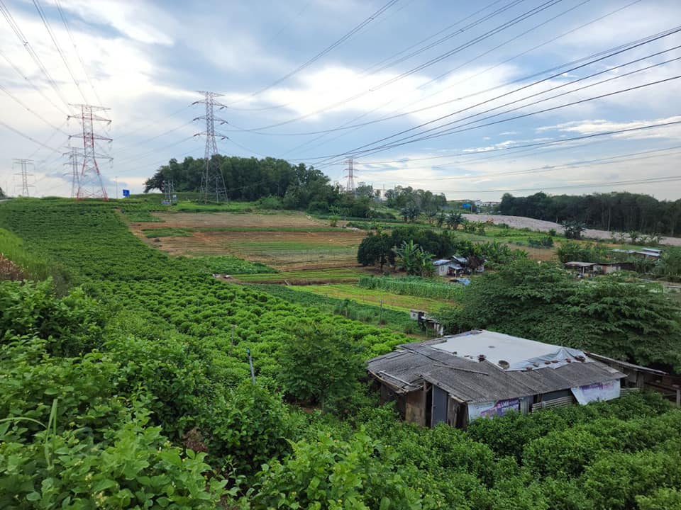 AGRICULTURE LAND PULAU MERANTI PUCHONG - photo 9