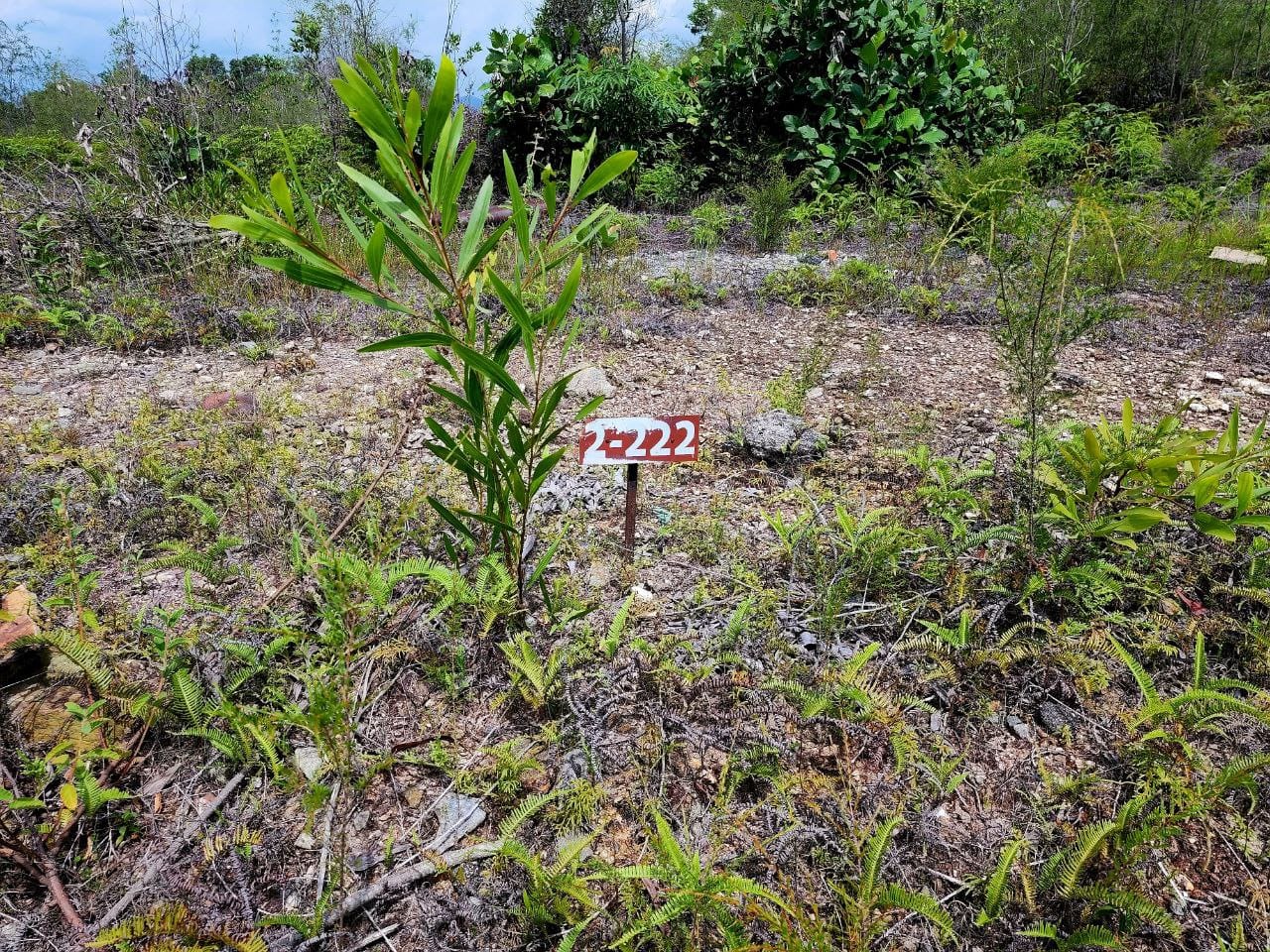 BUNGALOW LOT SEKSYEN 7 BANDAR BUKIT MAHKOTA - photo 7