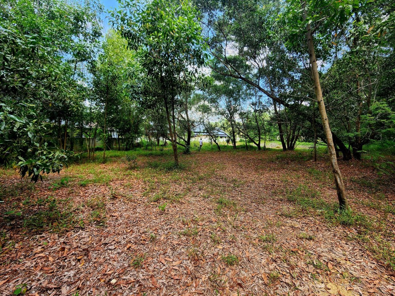 FLAT LAND BUNGALOW LOT PUTRA CREST PUTRA HEIGHTS - photo 3