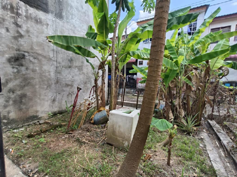 TERES DUA TINGKAT TEMERLOJ JAYA - photo 3