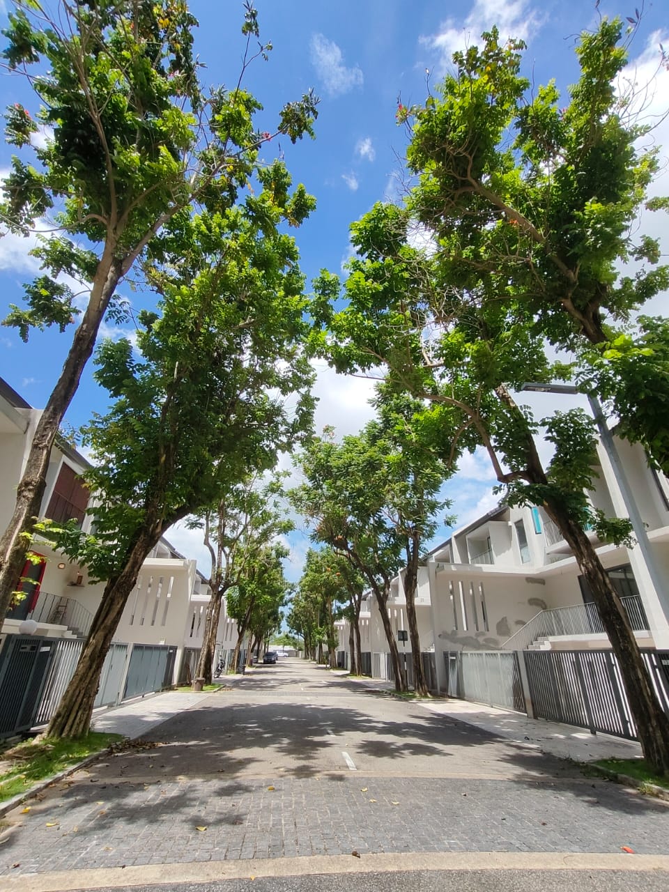 Vilaris Courtyard Homes - photo 5