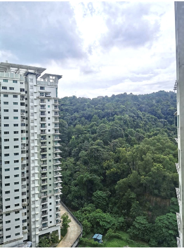 Metropolitan Square Condominium - photo 6