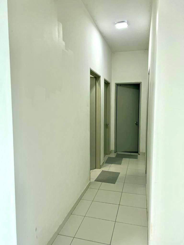 The Zizz - photo 5