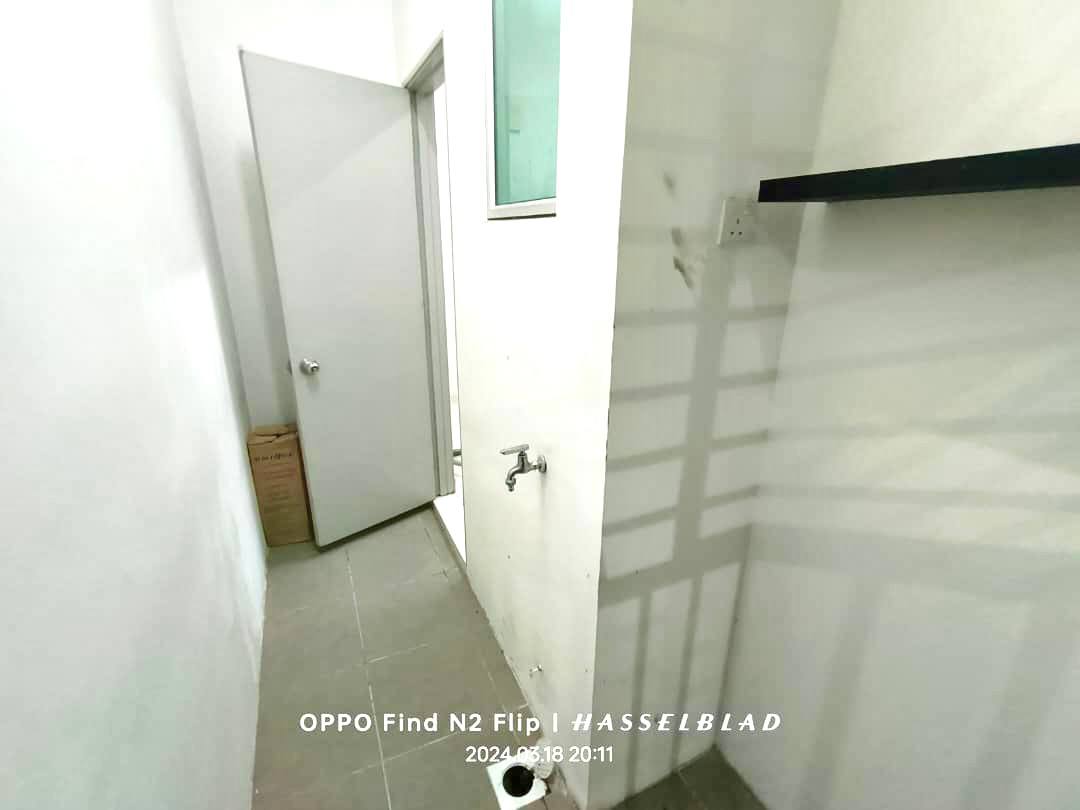 The Zizz - photo 8