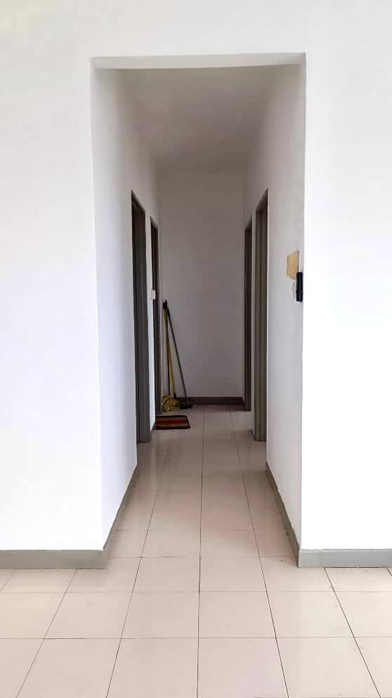 Park Avenue - photo 10