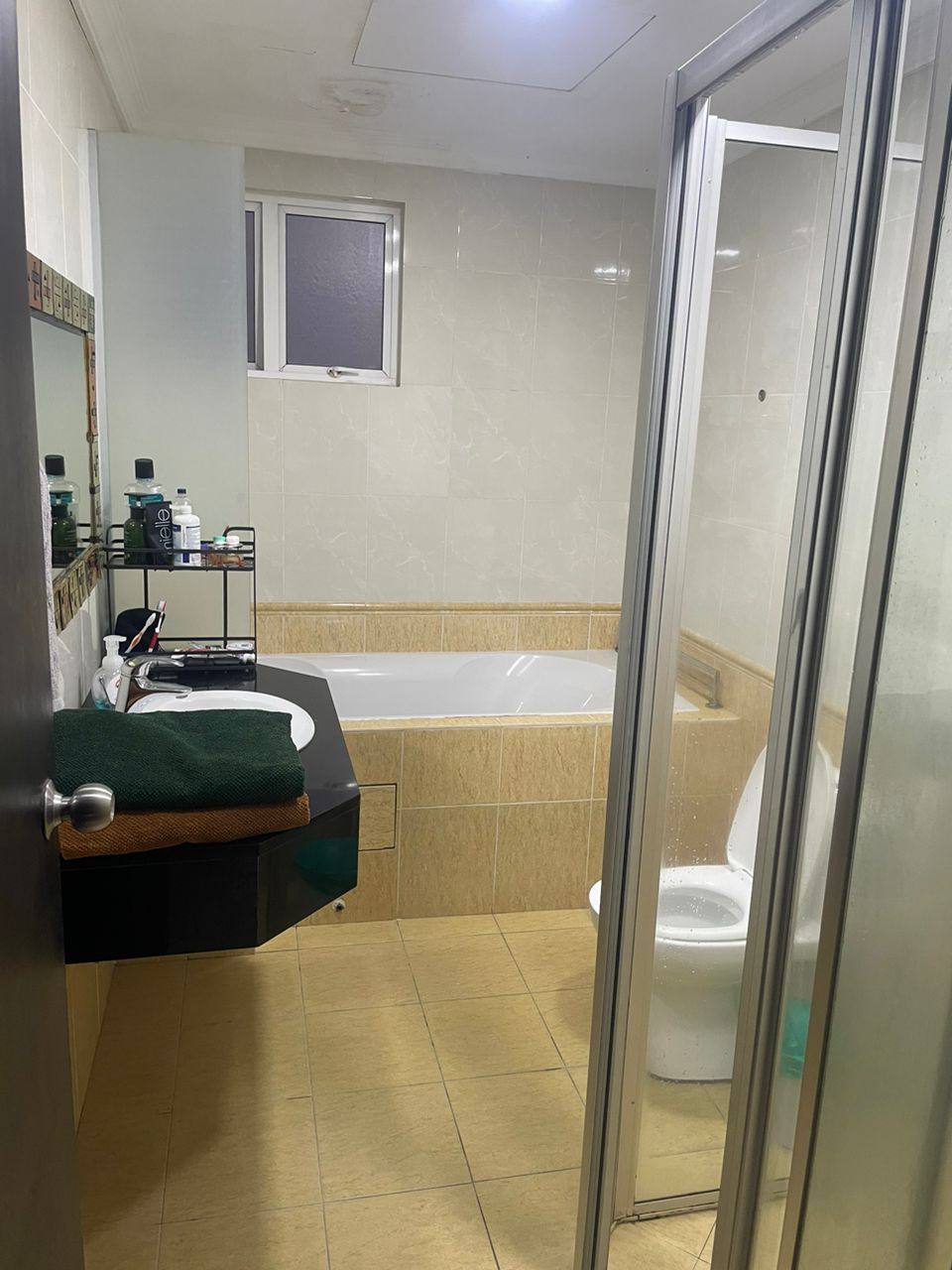 Hartamas Regency II - photo 9